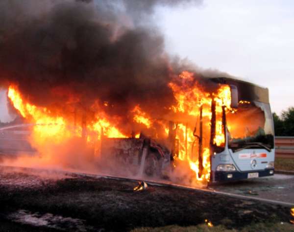 Bus-Brand